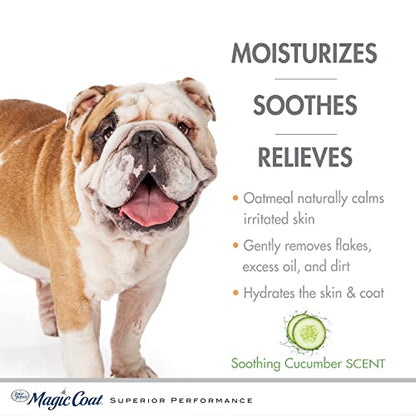 Four Paws Magic Coat Hypoallergenic Nourishing Oatmeal Shampoo for Dogs, Moisturizing Dog Wash for Itchy Dry Skin, Dog Grooming, Soothing Cucumber Scent, 16 Ounce - size: 16 Ounces (1 Count), style: Hypoallergenic Shampoo