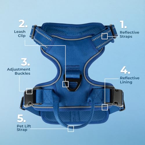 Voyager Dog Harness Dual Leash Attachment No-Pull Control Adjustable Soft but Strong Pet Harness for Medium and Large Dogs with 3M Reflective Technology, Royal Blue Lattice Nylon, XS (Chest: 13-16") - color: Royal Blue Lattice Nylon, size: XS (Chest: 13 -