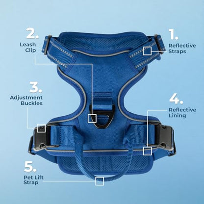 Voyager Dog Harness Dual Leash Attachment No-Pull Control Adjustable Soft but Strong Pet Harness for Medium and Large Dogs with 3M Reflective Technology, Royal Blue Lattice Nylon, XS (Chest: 13-16") - color: Royal Blue Lattice Nylon, size: XS (Chest: 13 -