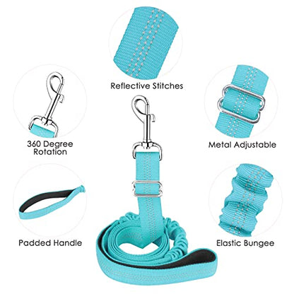 Lukovee No Pull Dog Harness and Leash Set, Soft Padded Small Dog Harness, Neck & Chest Adjustable Reflective Vest Puppy Harness with 4ft Lightweight Anti-Twist Dog Leash for Small Dogs (01-LBL) - color: Light Blue - with Stripe, size: S ( Chest 17.5'' ~ 2