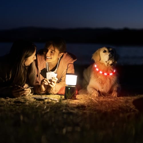 HIGO Light Up Dog Collar, Lightweight Silicone LED Dog Collar, USB Rechargeable Dog Collar Light for Dogs Cats Walking at Night (Red-Silicone) - color: Red-Silicone