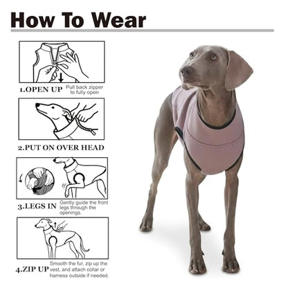 2-Layer Dog Outdoor Apparel Set (XL) – Lightweight Thermal Fleece Vest with High Collar & Stretch Comfort Plus Water-Repellent Hooded Windbreaker, Reflective Packable Protection for Walking &