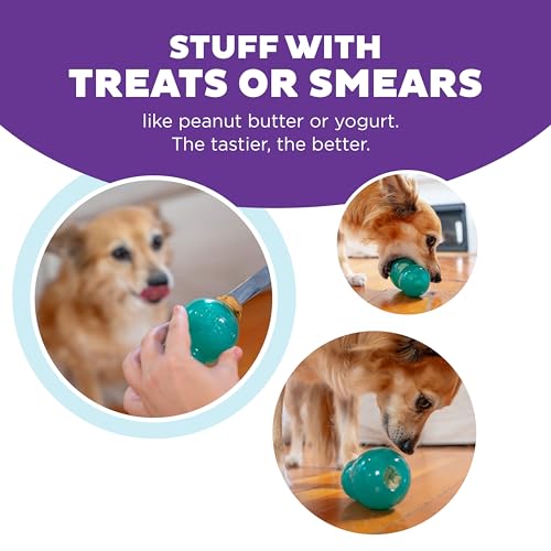 Outward Hound Double-Tuff Stuffable Dog Toy, Medium Blue, 3.9" x 2.5" – Treat Dispensing Chew Ball for Small to Medium Dogs, Interactive Puzzle Toy for Enrichment & Slow Feeding - color: Double-Tuff Stuffable (Blue)