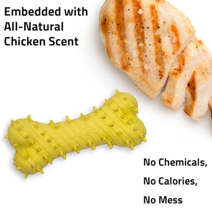 Playology Dog Toys | Teething Bone for Large Puppies and Young Dogs | Chicken Scented Jumbo Dog Bone Chew Toy | Teething Puppy Essentials - size: Jumbo, style: Chicken