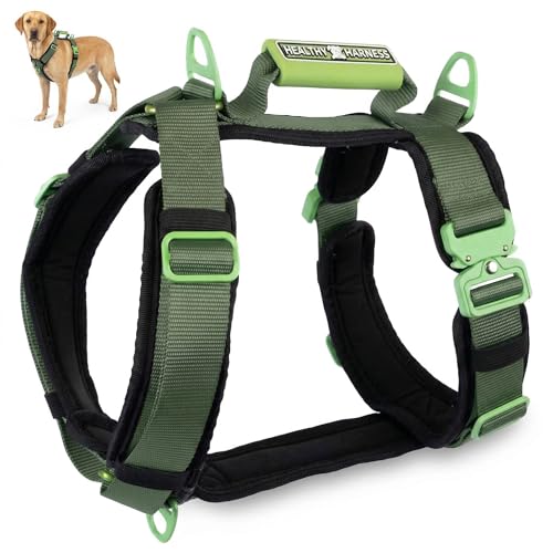 Ultimate Urban Dog Harness - Heavy Duty Design, No Choke, No Pull. Adjustable, Comfy Padding, Easy On/Off, Metal Hardware, Emergency Handle and 3 Connect Points (Green, XL) - color: Green, size: XL