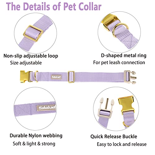 Nylon Dog Collar - Adjustable Lavender Soft Webbing Dog Collars for Small Medium Large Dogs Boy Girl Puppy Collar with Safety Metal Buckle XS - color: Nylon-Lavender, size: XS