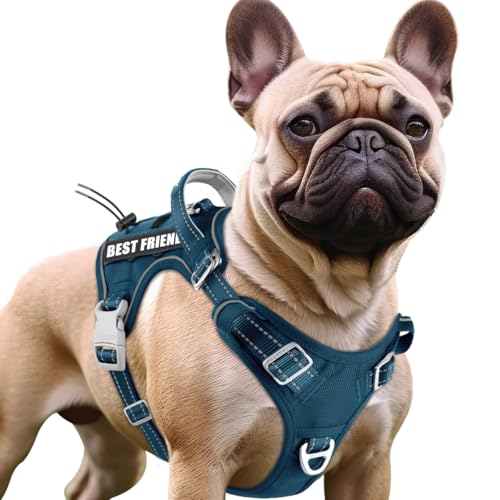 BARKBAY Service Dog Vest Tactical Dog Harness Medium Large Sized Dog No Pull Adjustable Dog Harness Reflective K9 Working Training Easy Control Military Molle System(Legion Blue,M) - color: Legion Blue, size: Medium