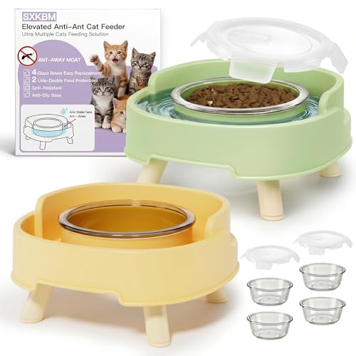 2 Pack Ant Not Cross Elevated Cat Bowls Mess Proof-4 Food Grade Glass Bowls & 2 Lids- No Spill Cat Food and Water Feeding Station for Cats&Puppy Indoor & Outdoor,No Whisker Fatigue Dish - color: Green&Yellow, size: 2PACK-4BOWLS