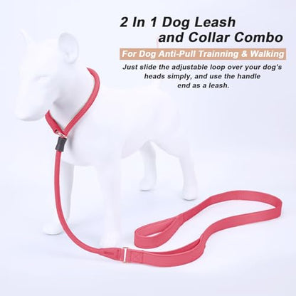 Slip Lead Dog Leash, Dog Training Leash with Double Handle, Soft Leather Slip Leash and Collar, Heavy Duty Nylon Dog Lead, No Pull Walking for Medium Large Small Dogs 6ft Hot Pink - color: Hot Pink, size: 6ft