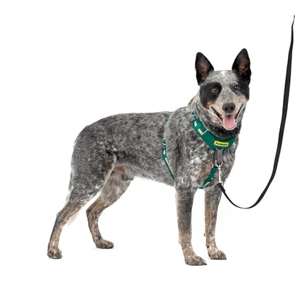PetSafe Easy Walk Comfort No-Pull Dog Harness Full-Body Padding - Better Walks on the First Use - 5 Points of Adjustment Medium, Green - color: Green, size: Medium