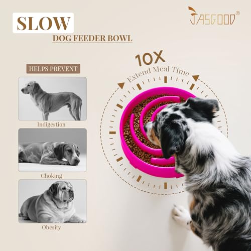JASGOOD Slow Feeder Dog Bowl for Large Medium Dogs, Anti-Gulping Pet Slower Food Feeding Bowls, Stop Bloat, Preventing Choking, Healthy Design, R-Rose red - color: Hot pink