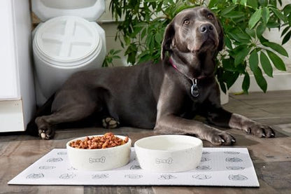 Pearhead Ceramic Dog Bowl – “Woof” Speckled Pet Food & Water Dish, Durable Stoneware, Non-Slip Heavy Base, 20 oz, Medium - color: White "Woof" Bowl, size: Medium