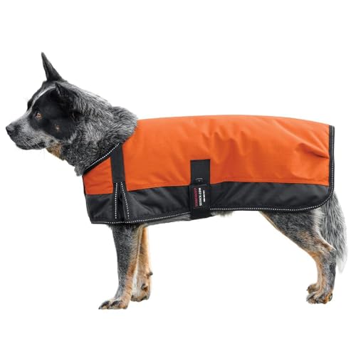 Schneiders Waterproof Reflective Dog Coat II | 600D Polyester Waterproof | Reflective Threading | Soft Nylon Lining | Closed Front and Bellyband Closure | Color Orange | Size Small/Medium - color: Orange, size: Small/Medium