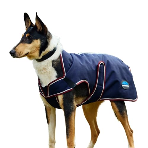 WeatherBeeta ComFiTec Premier Deluxe Waterproof Dog Coat, Navy/Burgundy, 28" - color: Navy/Burgundy, size: 28"