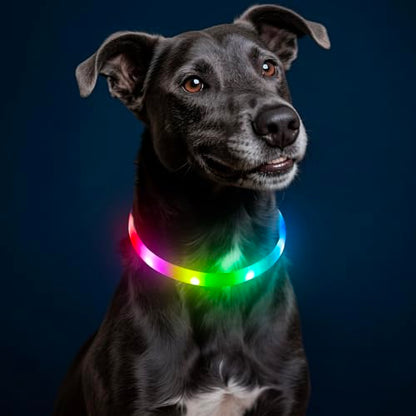 HIGO RGB LED Dog Collar Light - USB Rechargeable Light Up Dog Collars, Safety LED Dog Necklace for Your Dogs Walking at Night (Multi-Color) - color: Multi Color
