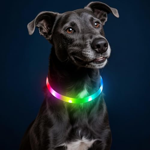 HIGO RGB LED Dog Collar Light - USB Rechargeable Light Up Dog Collars, Safety LED Dog Necklace for Your Dogs Walking at Night (Multi-Color) - color: Multi Color