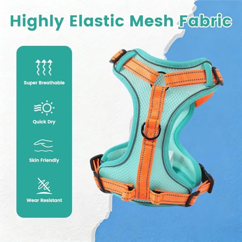 No-Pull Dog Harness with Dog Leash Breathable Mesh Adjustable Soft Padded Pet Vest Reflective for Small/Medium/Large Dogs Walking, Training - color: Blue, size: L