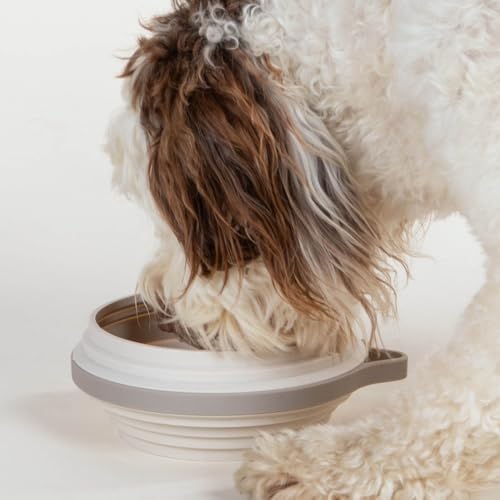 CLEVERPUP Nomad Large Collapsible Dog Bowl in Sand & Snackpack Double Insulated Treat Pouch in Leopard