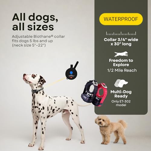 E-Collar ET-300 / ET-302 Dog Training Collar System with Remote - 1/2 Mile Range - Waterproof, Vibration, Sensation - Includes eOutletDeals Pet Towel (2 Dog System - ET-302 Black) - size: 2 Dog System - ET-302 BLACK