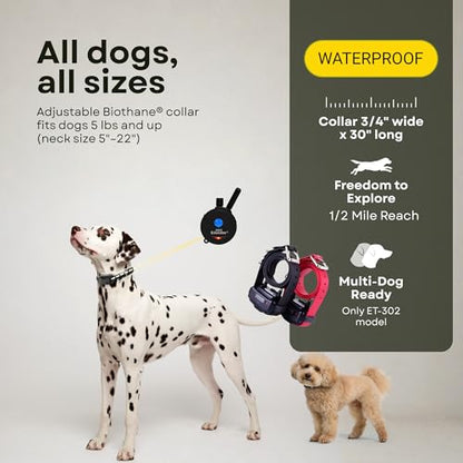 E-Collar ET-300 / ET-302 Dog Training Collar System with Remote - 1/2 Mile Range - Waterproof, Vibration, Sensation - Includes eOutletDeals Pet Towel (2 Dog System - ET-302 Black) - size: 2 Dog System - ET-302 BLACK