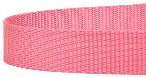 Country Brook Petz - Vibrant 17 Color Selection - Heavyduty Doublehandle Nylon Leash (6 Foot, 3/4 Inch Wide, Pink) - color: Pink