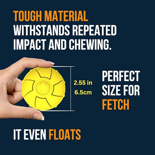 Fenrir - Dog Ball - High Bouncing Yellow Rubber for Fetch & Recall - 2.5 Inch Durable Floating Dog Toy - Water Retrievable Interactive Ball for All Breeds (Medium)