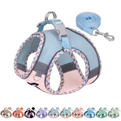 AIITLE Teacup Puppy Harness with Leash - Adjustable Soft Vest with Magic Tape & Reflective Safety Strips, Easy-Put-On for Poodles, Pomeranians - Gym, Hiking, Travel (Blue-Pink, S) - color: Blue-Pink, size: S(Chest: 13.5 - 15")