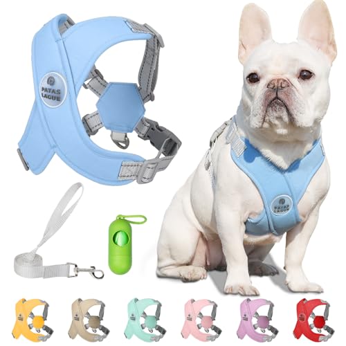 Patas Lague Dog Harness with Leash Set Adjustable Soft Padded Step-in Dog Vest No Choke No Pull Reflective for Small Pets with Poop Bags and Dispenser, Solid and No-chew, Blue XS - color: Blue, size: XS (Neck 16-19.1'' Chest 18.8-21.5'')