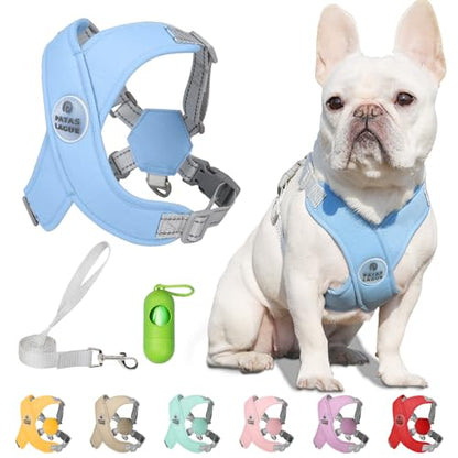 Patas Lague Dog Harness with Leash Set Adjustable Soft Padded Step-in Dog Vest No Choke No Pull Reflective for Small Pets with Poop Bags and Dispenser, Solid and No-chew, Blue XS - color: Blue, size: XS (Neck 16-19.1'' Chest 18.8-21.5'')
