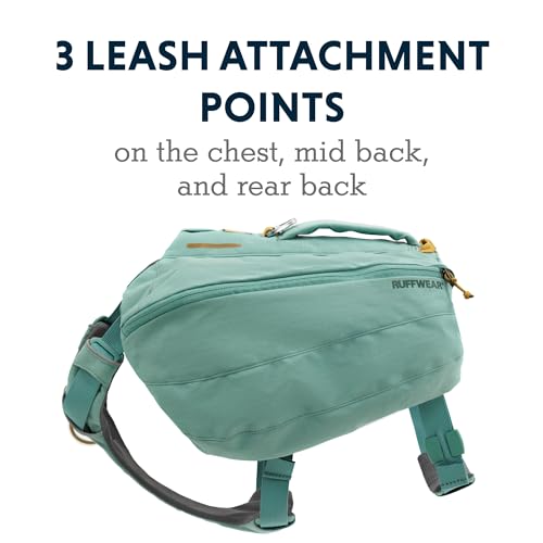 Ruffwear, Front Range Day Pack, Dog Backpack with Saddlebags, 5-Point Adjustment, 3 Leash Points, Padded Handle, Internal Mesh Pockets, Reflective Trim, Light Loop, River Rock Green, Medium - color: River Rock Green, size: Medium