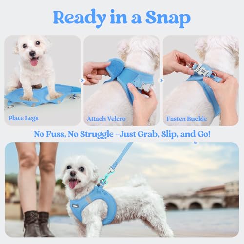 rabbitgoo Dog Harness Small Sized and Leash Set, Step in Soft Light Puppy Vest, Breathable Mesh Pet Harness, Reflective for Safe Easy Walking, Blue XXXS - color: Blue, size: Xxxs (chest: 10.8 - 11.8")
