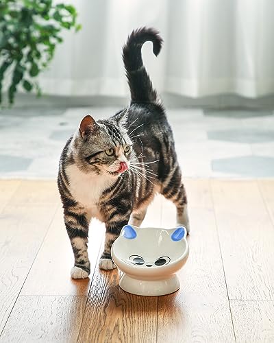 Raised Cat Food Bowl Ceramic 15° Tilted Cat Food Bowls Protect Cat's Spine Anti Vomiting Backflow Prevention Bowls for Adult Cats, Kitten, and Small Dogs, Blue - color: Blue Ears