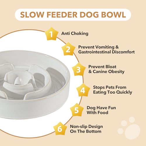 Havniva 1.6 Cup Elevated Slow Feeder Dog Bowls, 8.2” Dog Slow Feeding Bowls + 7.3” Ceramic Dog Water Bowls Set with Acacia Wood Stand Dog Food Bowls Puzzle Feeder for Medium Dogs Non-Slip Anti-choking - color: 2 x White + Stand - A, size: L- 8.2inch / 1.6