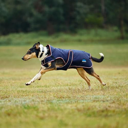 WeatherBeeta ComFiTec Premier Deluxe Waterproof Dog Coat, Navy/Burgundy, 12" - color: Navy/Burgundy, size: 12"