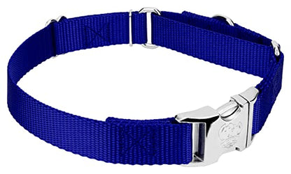 Country Brook Petz - Martingale Dog Collar - Heavy Duty Nylon Adjustable Martingale Dog Collar with Premium Buckle for Small Medium Large Breeds (5/8 Inch, Extra Small, Bright Royal Blue) - color: Bright Royal Blue, size: Extra Small (Pack of 1)