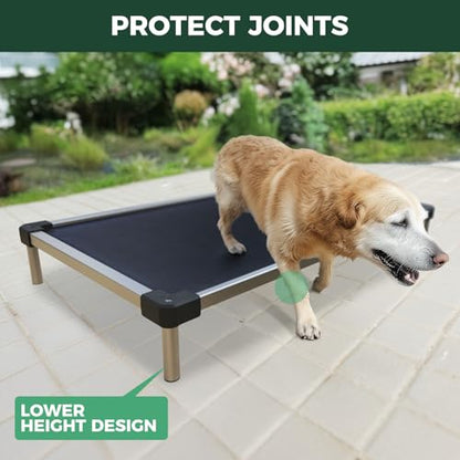FXW TitanNest Chew-Proof Elevated Dog Bed, Raised Cot for Indoor/Outdoor/Camping Use, Durable & Waterproof Cooling Pet Bed for Extra Large Dogs, 56.0" L x 31.0" W x 7.3" H, Black - size: X-Large Dog (56.0"L x 31.0"W x 7.3"H)