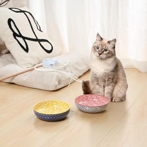 Selamica 세라믹 고양이 그릇, 14cm(5.6인치) 너비의 얕은 고양이 사료 그릇, 음식과 물용, 수염 친화적, 6개 세트, 다양한 색상 - color: 다양한 색상, size: 5.6 Inch, Set of 6