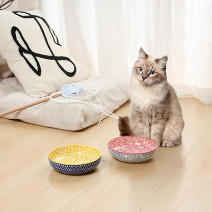 Selamica 세라믹 고양이 그릇, 14cm(5.6인치) 너비의 얕은 고양이 사료 그릇, 음식과 물용, 수염 친화적, 6개 세트, 다양한 색상 - color: 다양한 색상, size: 5.6 Inch, Set of 6