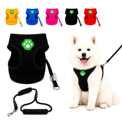Dog Harness Small Sized and Leash Set, Step in Soft Light Puppy Vest, Breathable Mesh Pet Harness, Adjustable Pet Puppy Harness, Easy Walk Dog Harness, M: Chest 11.8-17.7" - color: Black, size: M: Chest 11.8-17.7" Leash 3.8 FT