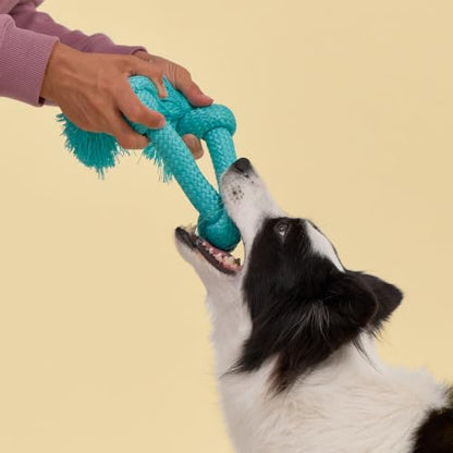 Playology Dog Toys | Dri-Tech Rope Tug of War Dog Toy for Tough Chewers | Peanut Butter Scented Jumbo Tug Rope Toys for Large Dogs - size: Jumbo, style: Peanut Butter