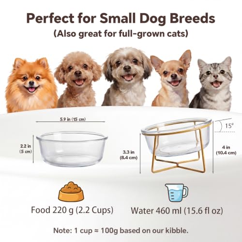 Small Glass Tilted Elevated Cat Dog Bowl Raised Cat Food Water Bowl Dish Pet Comfort Feeding Bowls with Gold Iron Stand - color: Glass, size: Small