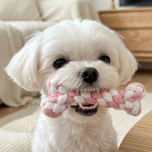 Bone-Shaped Dog Rope Chew Toy, Pink & White | Bone-Shaped Chew Toy, Durable Cotton Rope, For Teething, Training, Interactive Play, Small to Medium Dogs