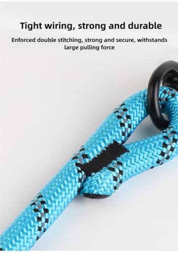 Dog Leash 5 FT with Comfortable Padded Handle, Highly Reflective Threads Dog Leash for Medium Large Dogs, 1/2 inch, Blue - color: BLUE 5FT