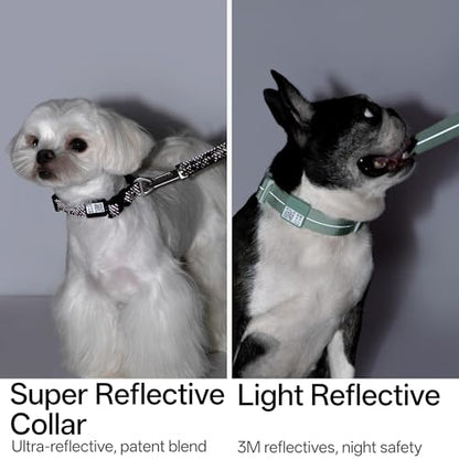 All-Weather Dog Collar Reflective Adjustable Soft Nylon QR Code Anti-Lost Collar Breathable with Quick-Release Buckle Patent Alloy Ring for Small Medium Large Dog (Super Reflect-Earth, L) - color: Super Reflect-Earth, size: L