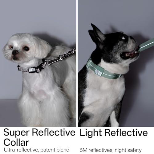 All-Weather Dog Collar Reflective Adjustable Soft Nylon QR Code Anti-Lost Collar Breathable with Quick-Release Buckle Patent Alloy Ring for Small Medium Large Dog (Super Reflect-Black, S) - color: Super Reflect-Black, size: S