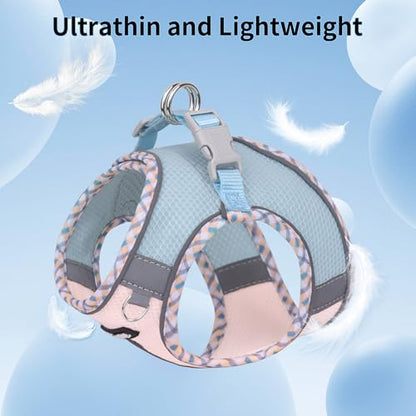 AIITLE Teacup Puppy Harness with Leash - Adjustable Soft Vest with Magic Tape & Reflective Safety Strips, Easy-Put-On for Poodles, Pomeranians - Gym, Hiking, Travel (Blue-Pink, S) - color: Blue-Pink, size: S(Chest: 13.5 - 15")