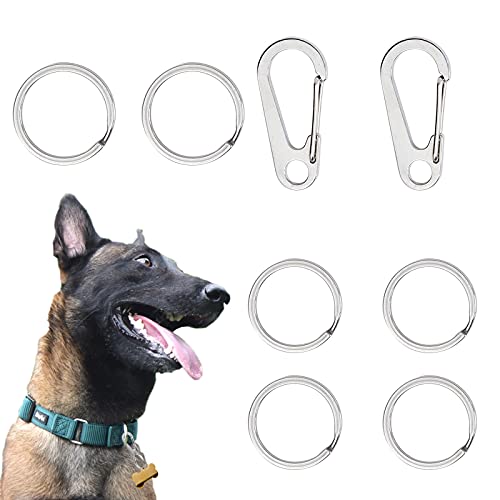 Dog Tag Clips 304 Stainless Steel Pet ID Tag Holder for Dog Cat Collars and Harnesses(8pcs), Silver 04