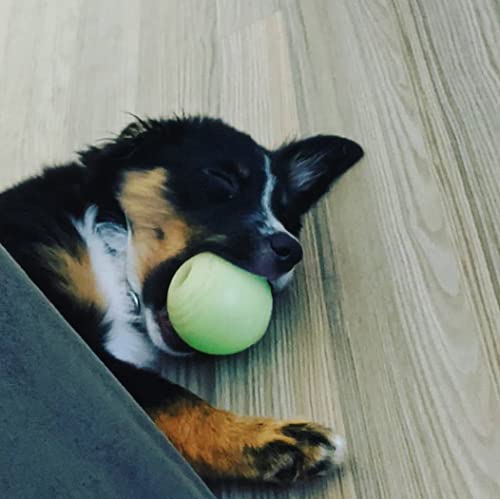 Chew King 2 Piece Glowing Fetch Ball - color: A) 2-Pack (2.5" Balls)