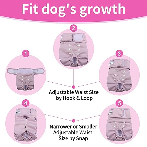 Washable Female Dog Diapers for Extra Small Dogs,Pack of 4 Reusable Puppy Diapers Super Absorbent Dogs Pants in Period,Heat Cycle,Incontinence,Excitable Urination,XSmall - size: X-Small