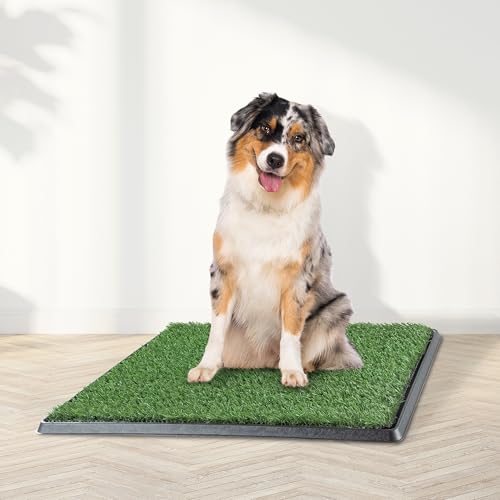 Artificial Grass Puppy Pee Pad for Dogs and Small Pets - 20x25 Reusable 4-Layer Training Potty Pad with Tray - Dog House and Pet Supplies by PETMAKER - size: Medium 4-Layer System